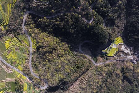 Qingxi Culture and History Museum